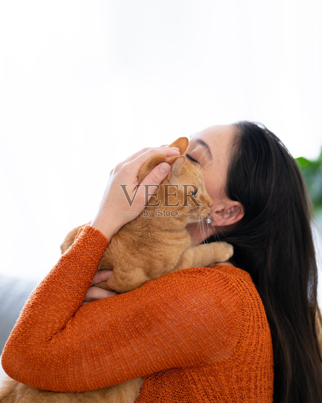 家里有猫的女人照片摄影图片