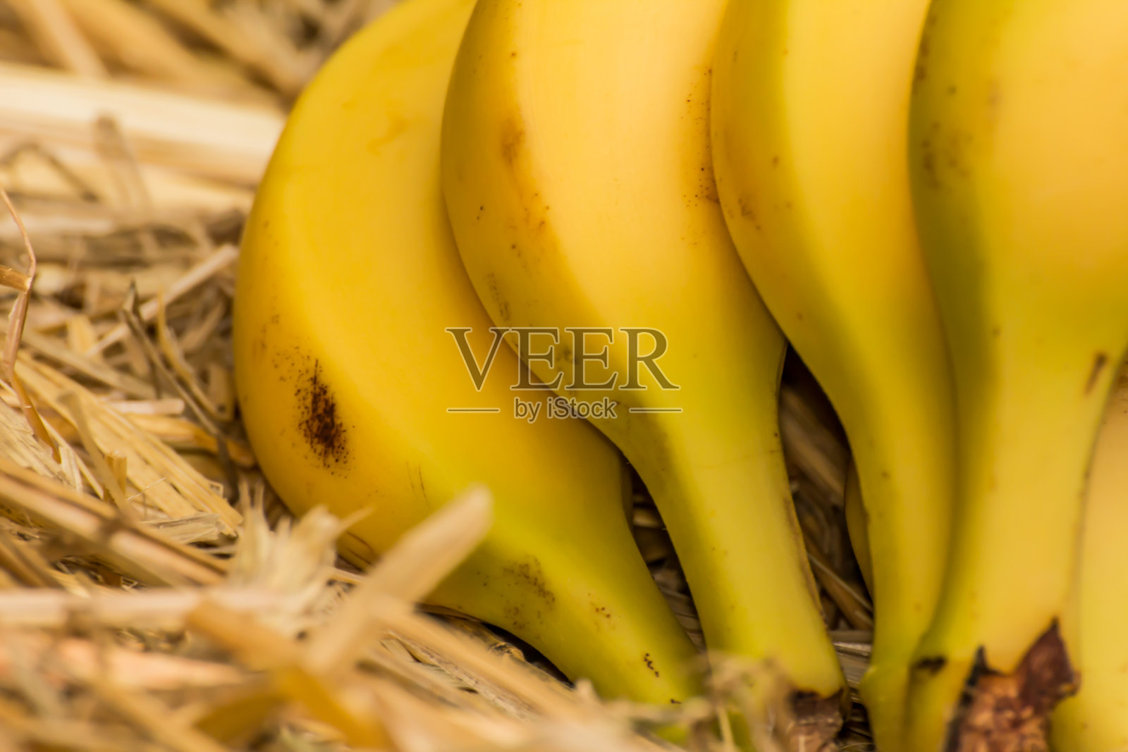 有机香蕉照片摄影图片