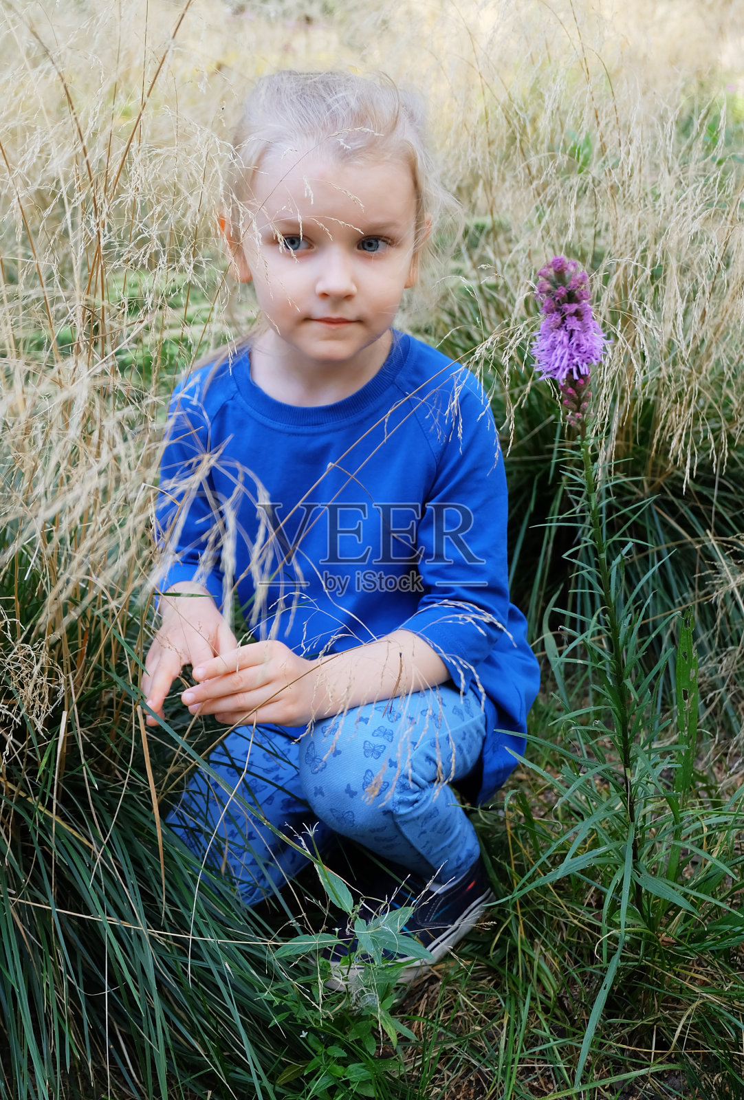 一个穿蓝色衣服的小女孩坐在公园的高草丛中。照片摄影图片