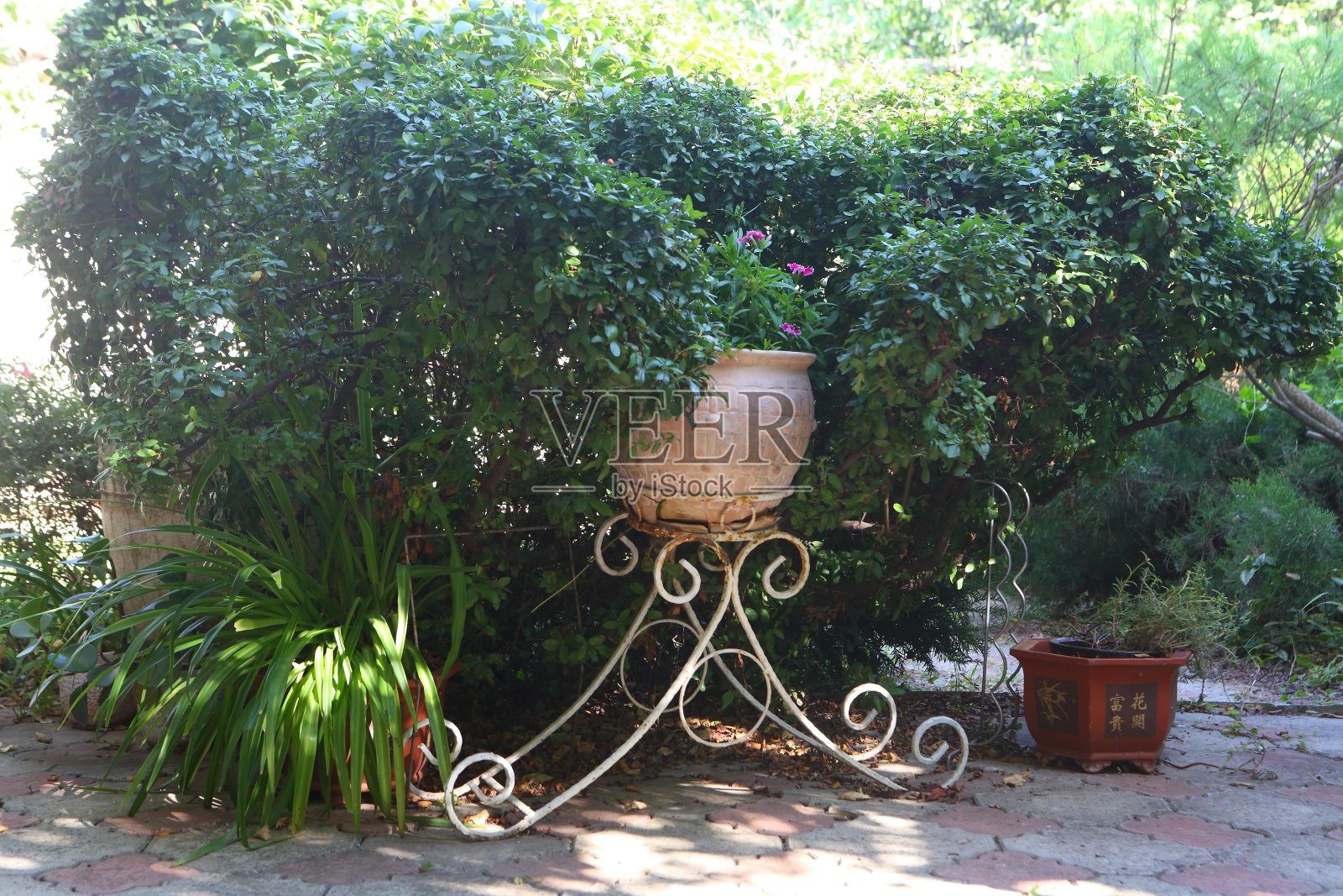 美丽的风景在这个国家照片摄影图片