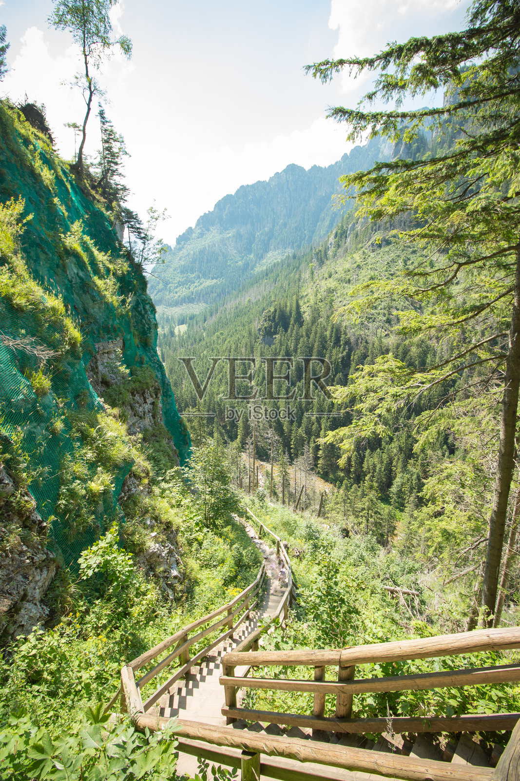 科希切利斯卡山谷-塔特拉山脉-波兰照片摄影图片