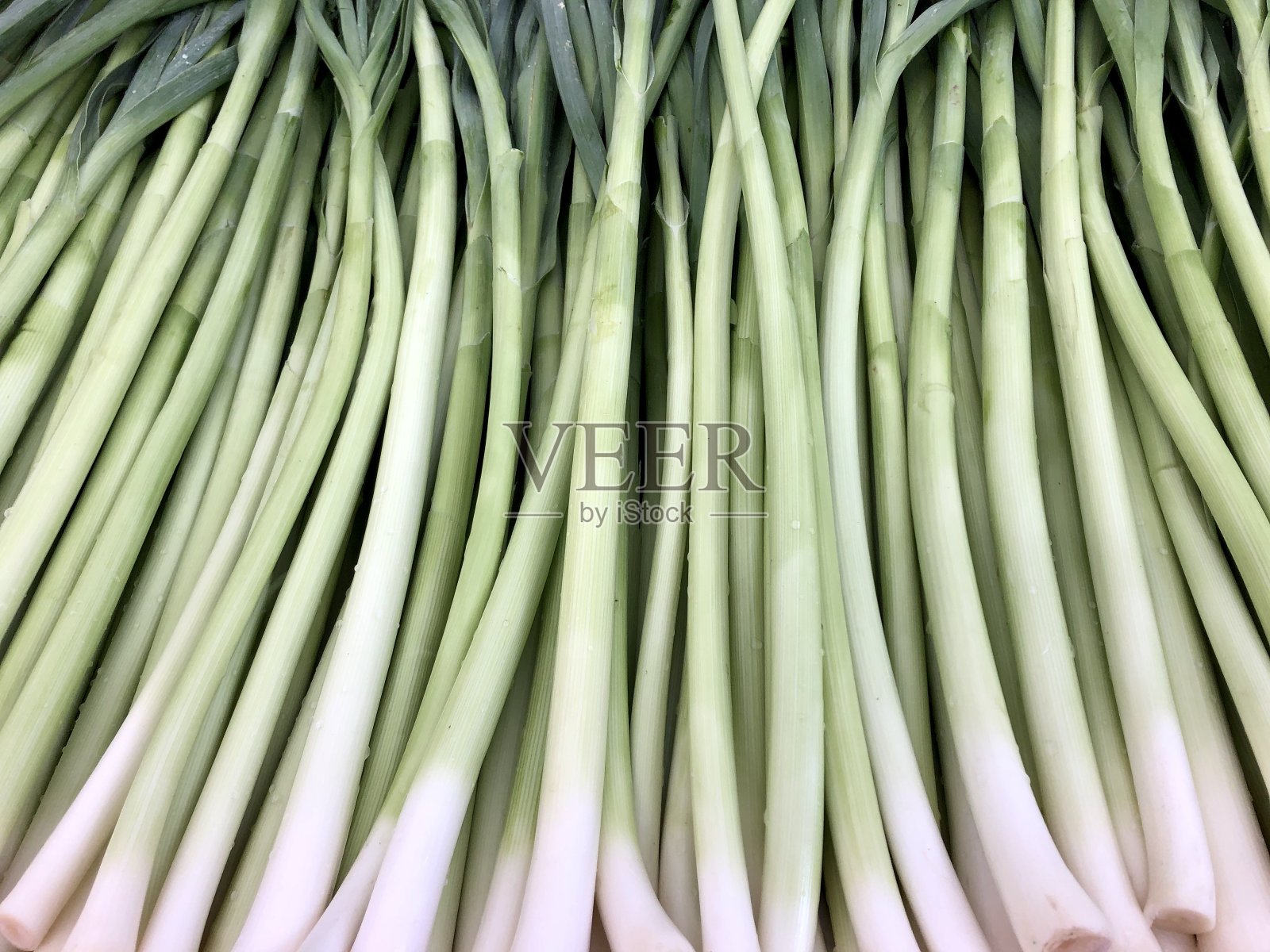 似乎照片摄影图片