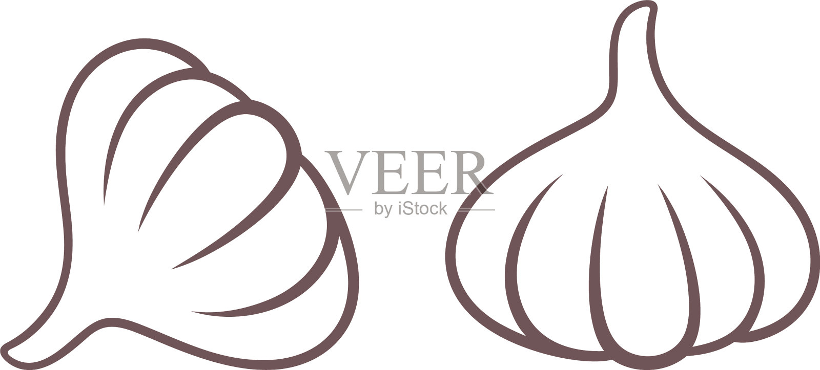 大蒜插画图片素材