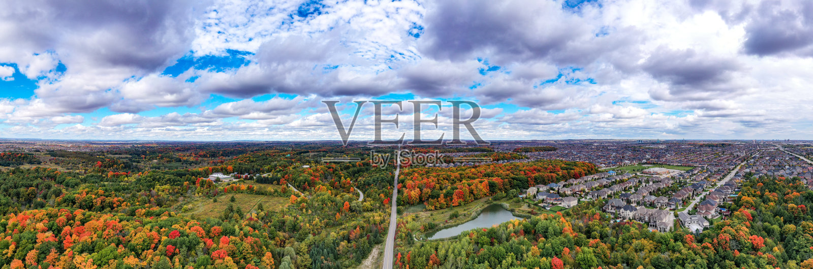 在加拿大安大略省沃恩的伍德布里奇，松树村博士和韦洛尔村社区两侧的彩色树叶照片摄影图片