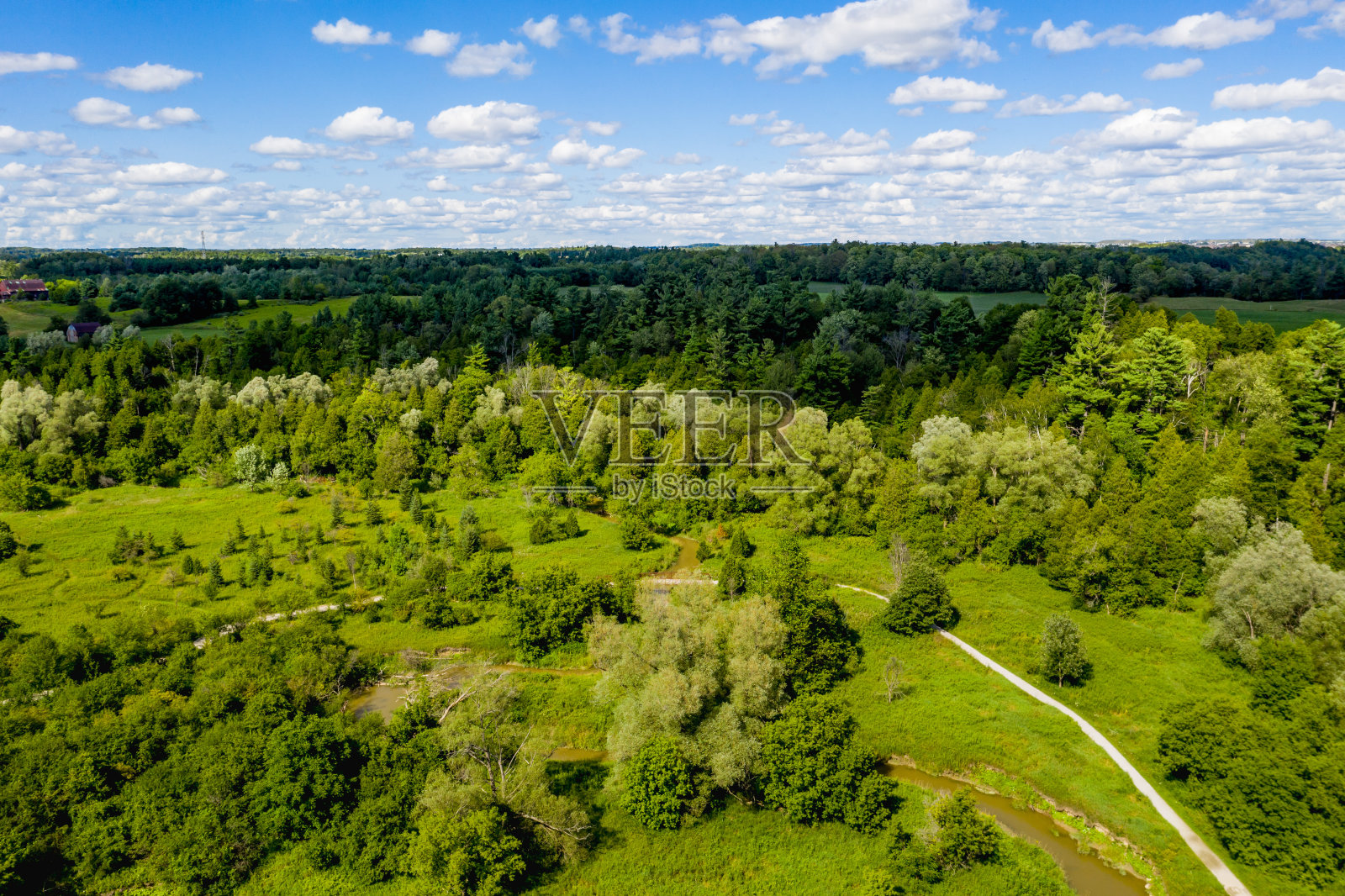 威廉格兰杰格林威Bindertwine公园-亨伯河小径在夏天，克莱因堡，加拿大安大略省照片摄影图片