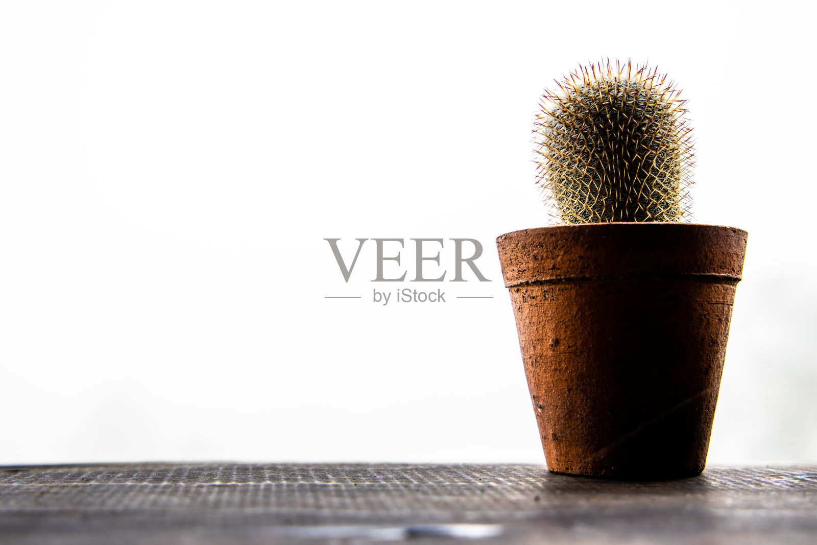 小仙人掌在赤陶罐在木桌上白色明亮的背景。照片摄影图片
