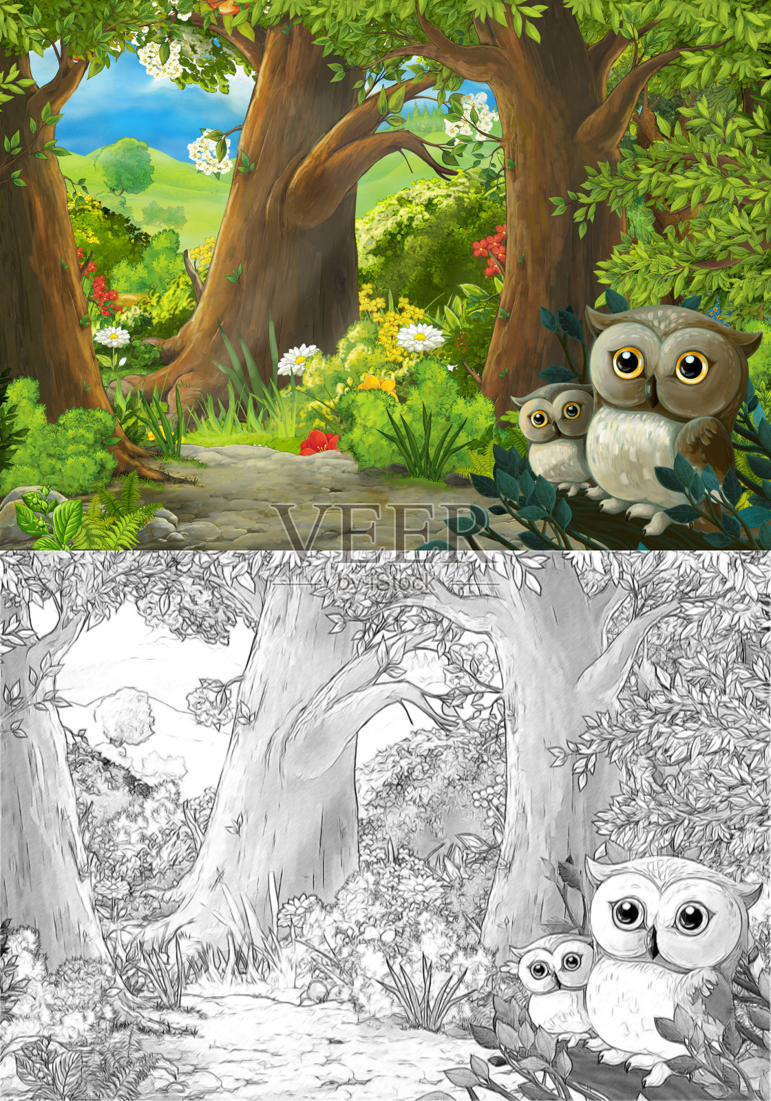 卡通场景与猫头鹰在森林和路径到某处-插图插画图片素材