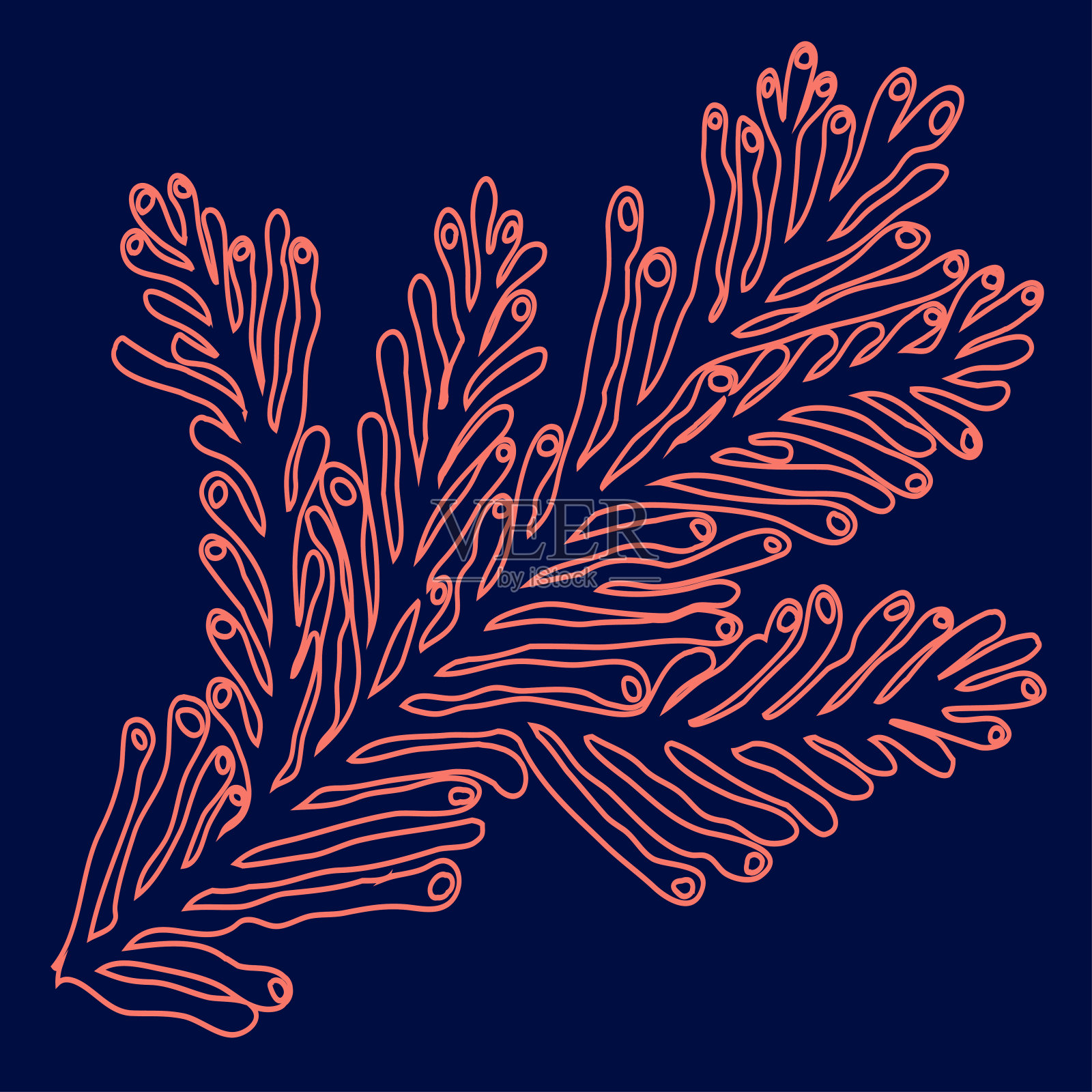 矢量海珊瑚在涂鸦风格手绘。插画图片素材