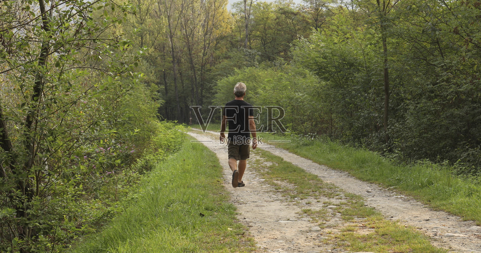 日出时，男性徒步者沿着森林小径行走照片摄影图片