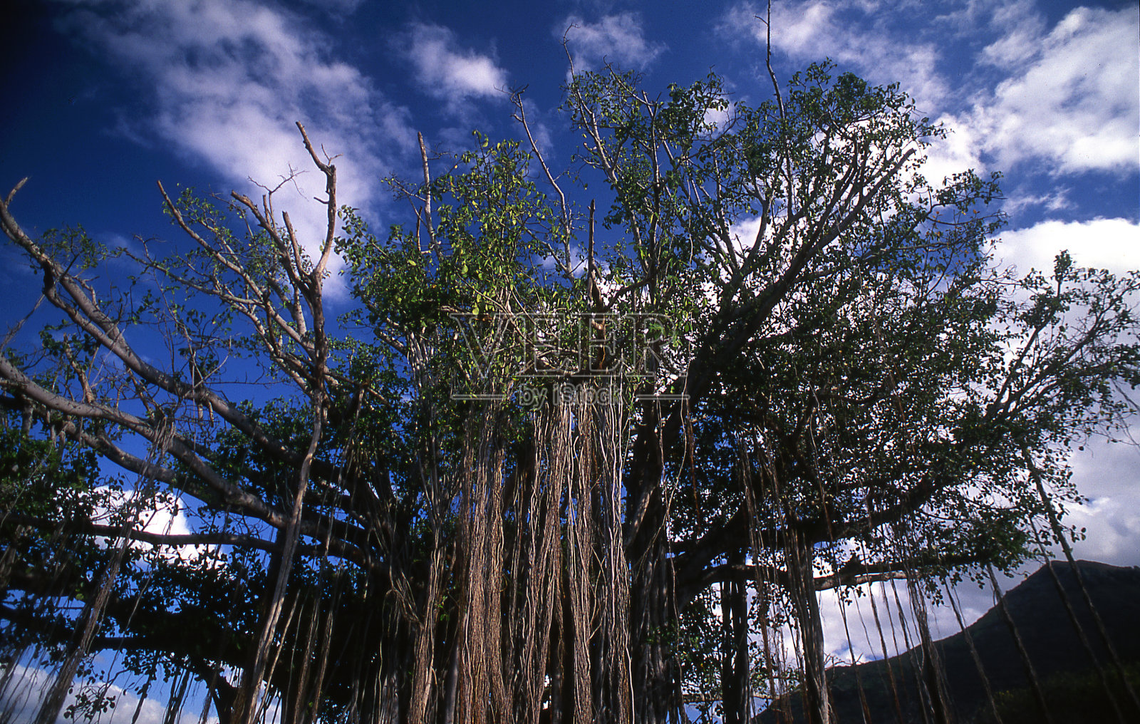 悦榕庄照片摄影图片