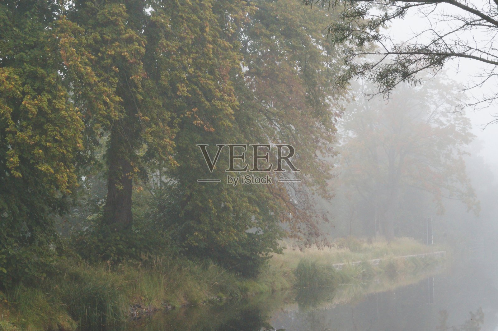 雾中的运河照片摄影图片