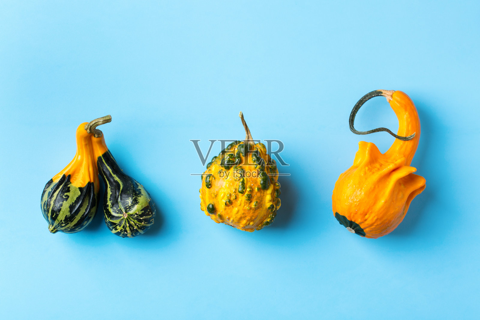 秋天秋天的感恩节作文装饰橙色南瓜照片摄影图片