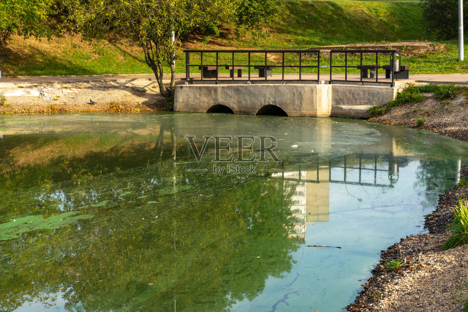 池塘边的小石桥。秋天花开的水。照片摄影图片