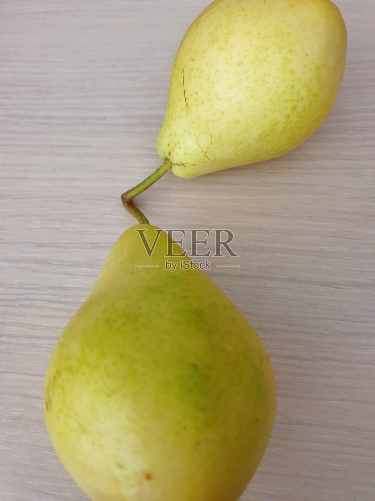 梨维系照片摄影图片