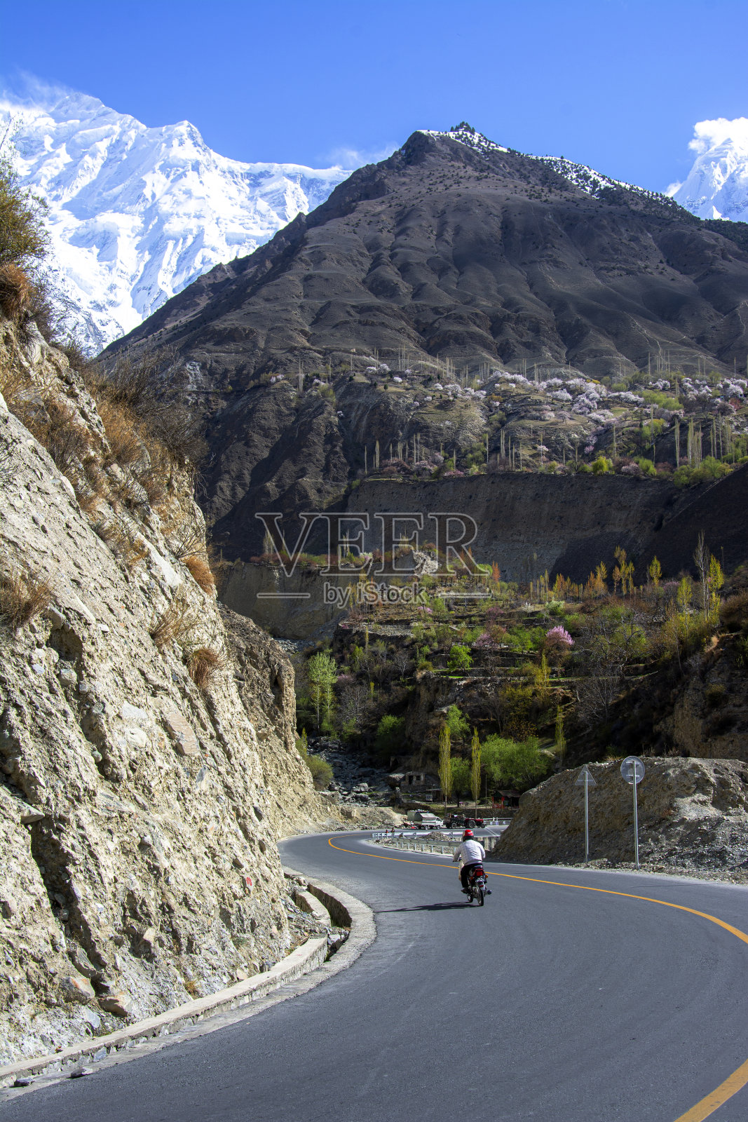 春季景观摄影照片摄影图片