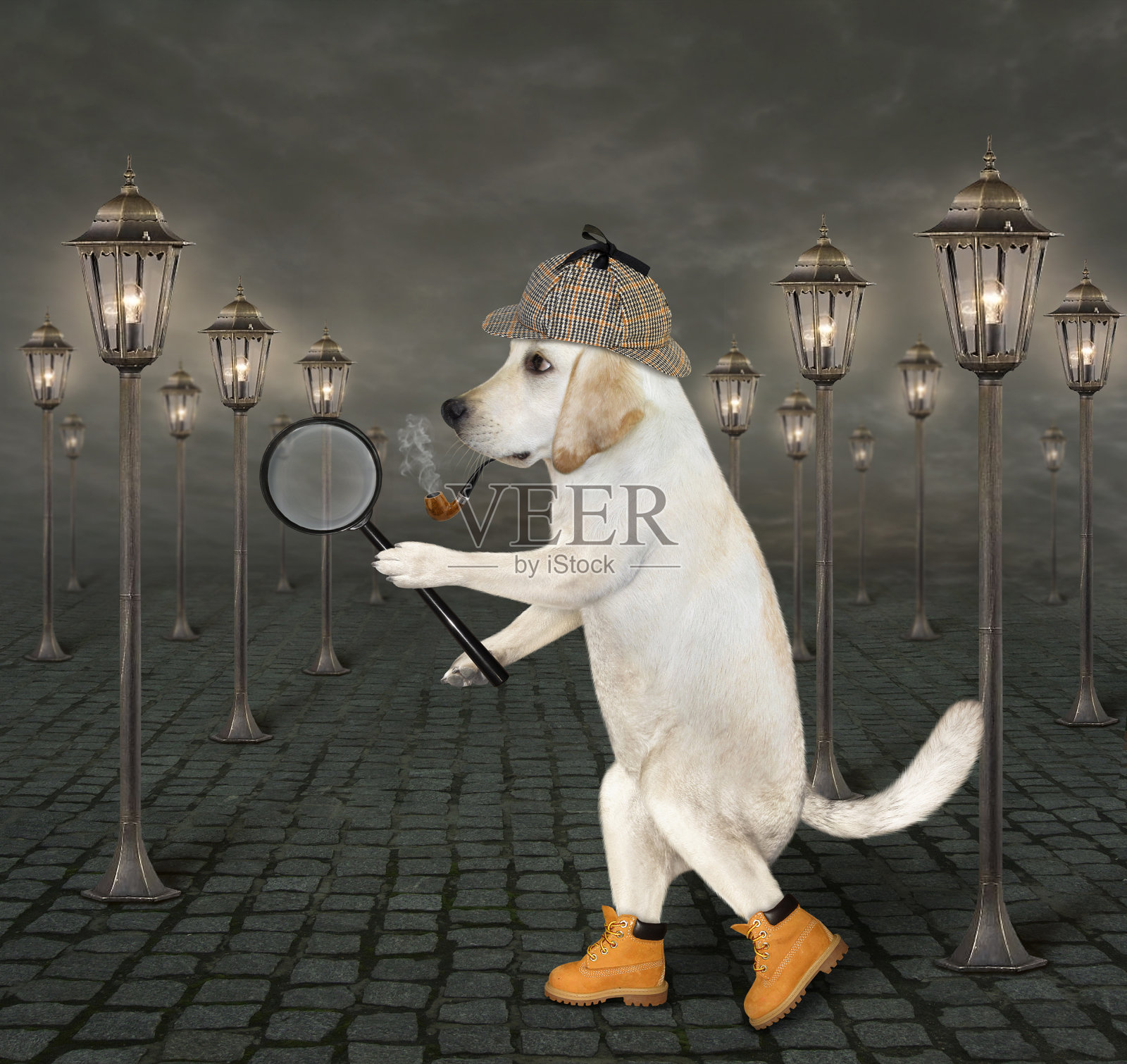 警犬侦探拿着放大镜照片摄影图片