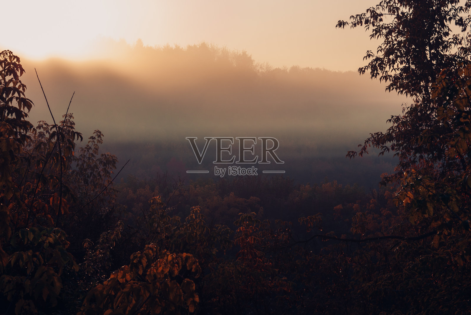 早晨有神秘的雾。照片摄影图片