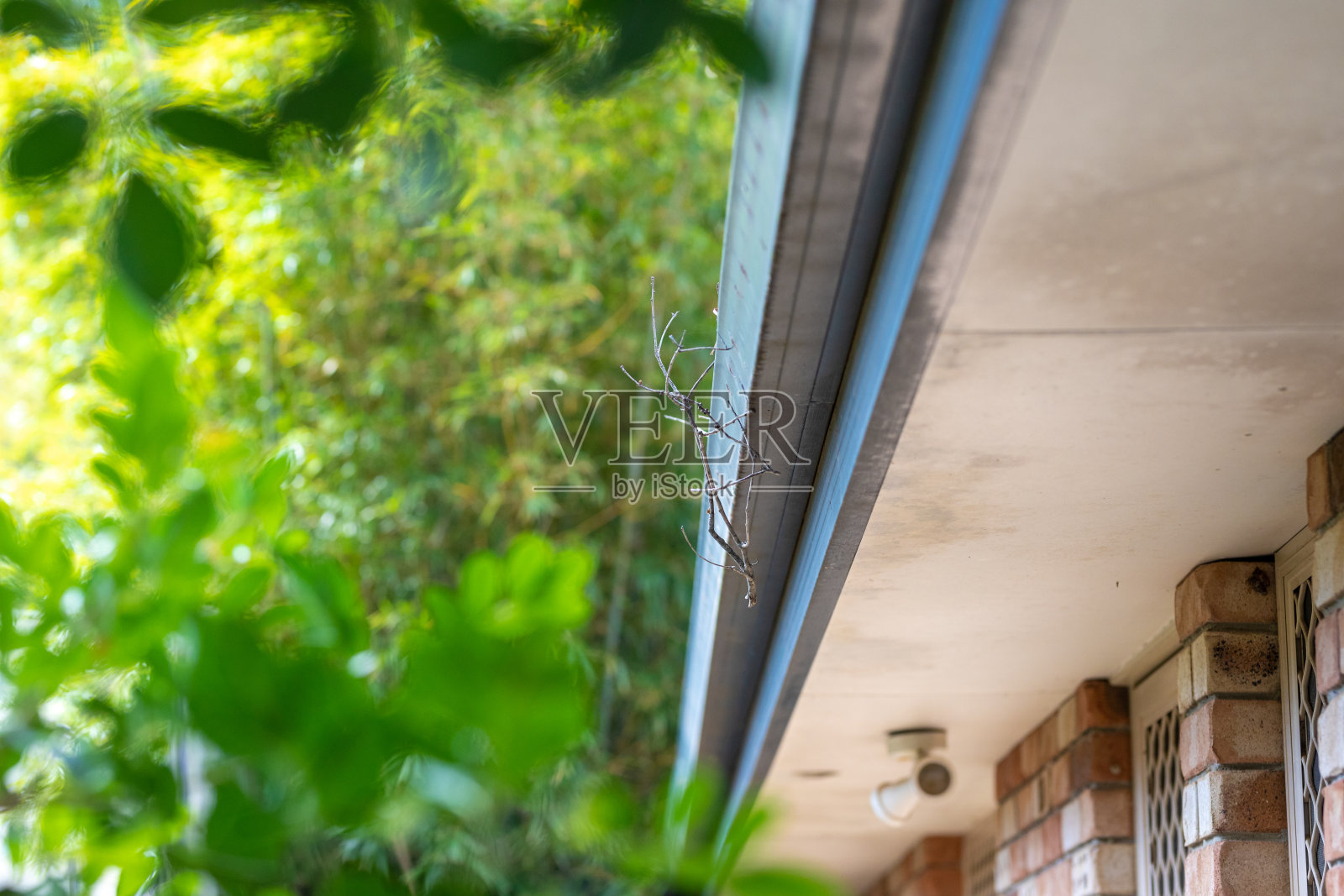 破屋顶板/屋檐照片摄影图片