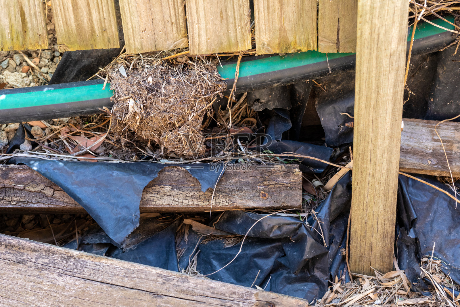 朽木挡土墙照片摄影图片