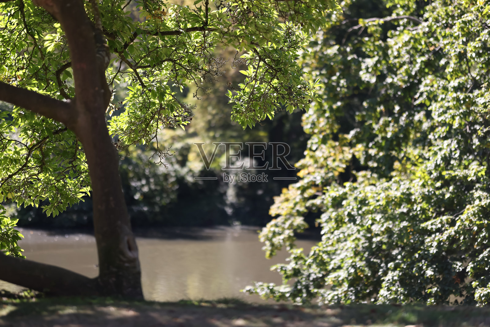 威斯巴登赌场公园的风景照片摄影图片