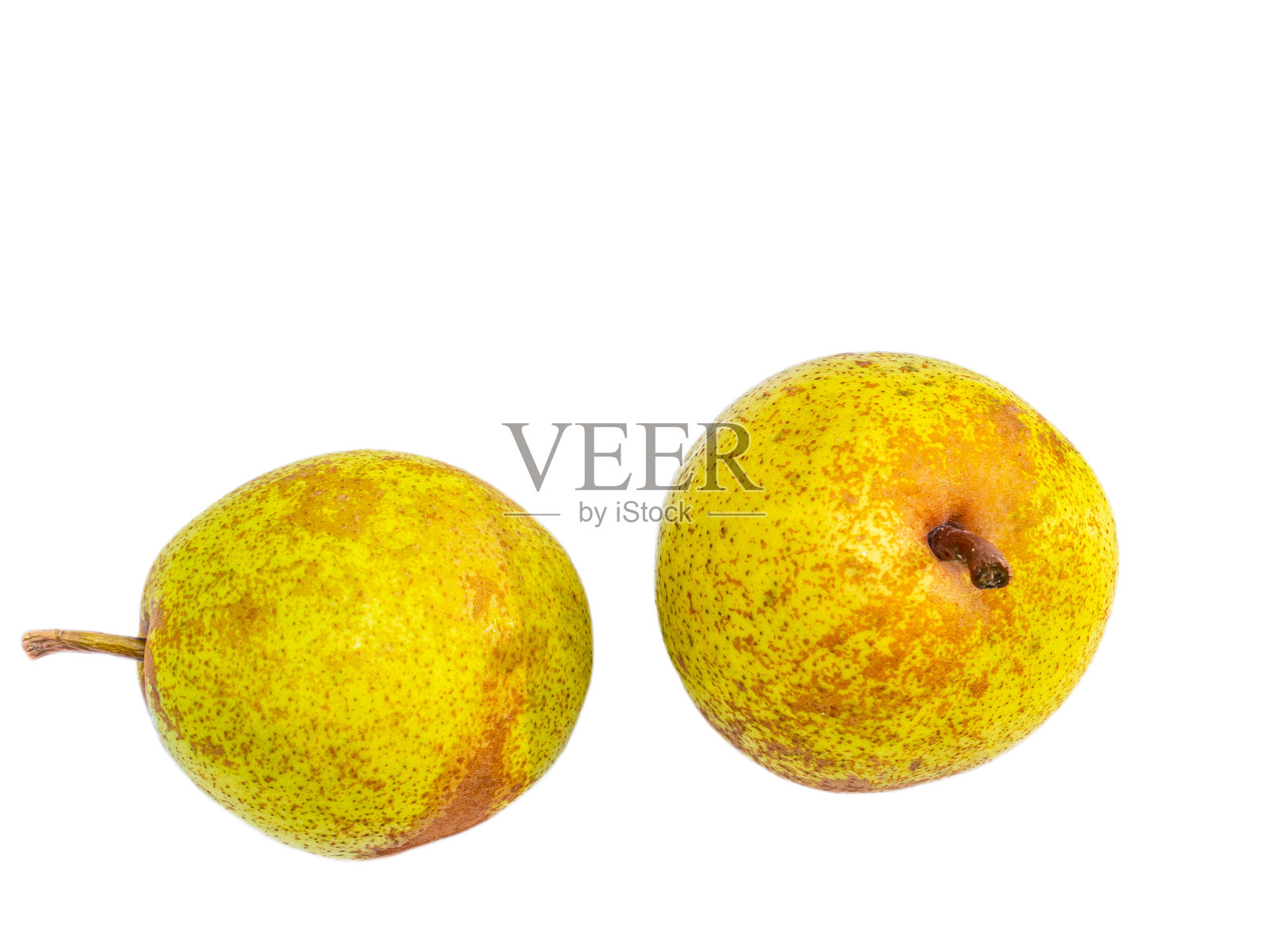 收获孤立在白色背景上的梨果实。照片摄影图片