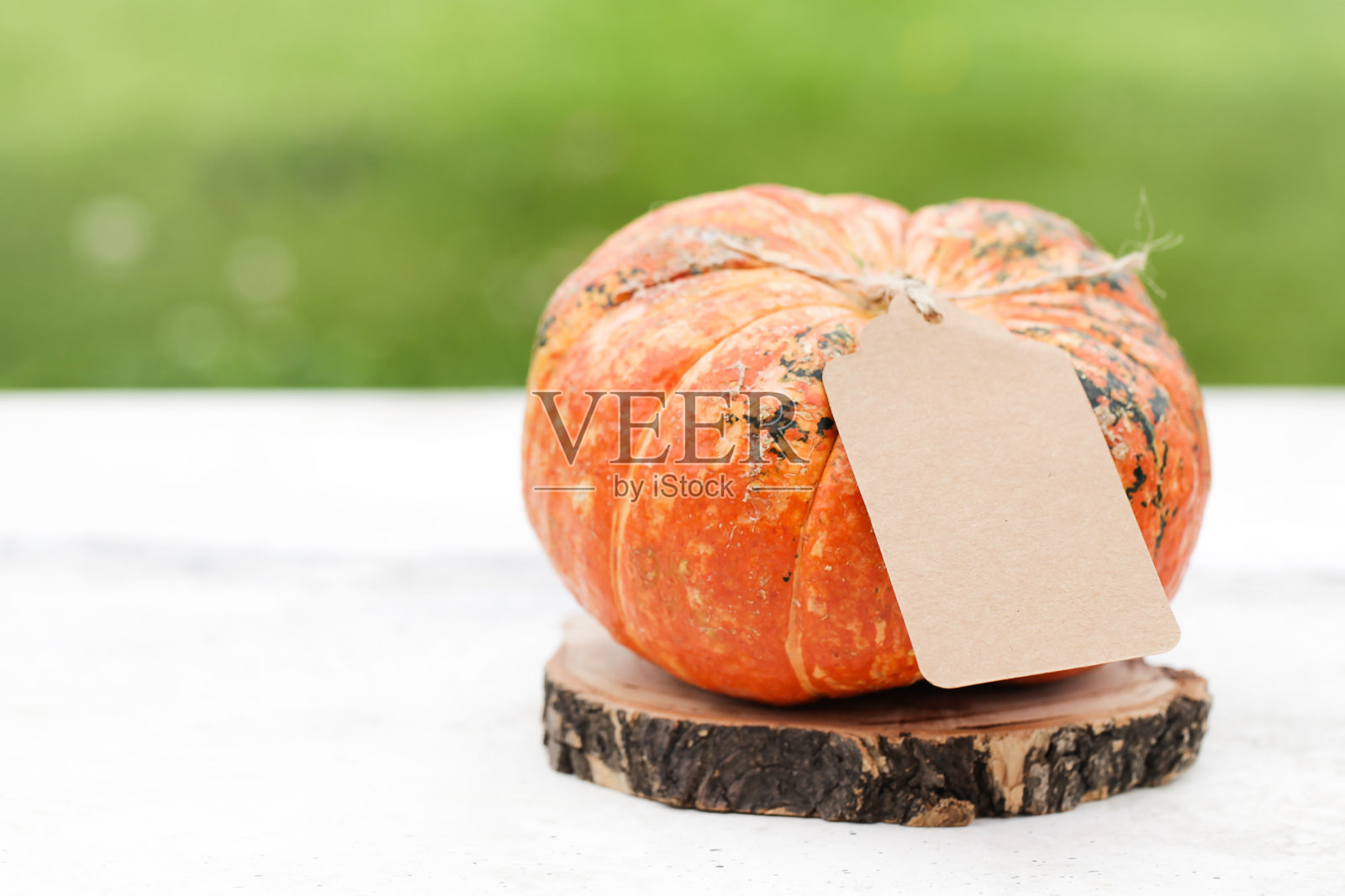 南瓜纸白色和绿色的背景。秋天，秋天，万圣节的概念。本空间照片摄影图片