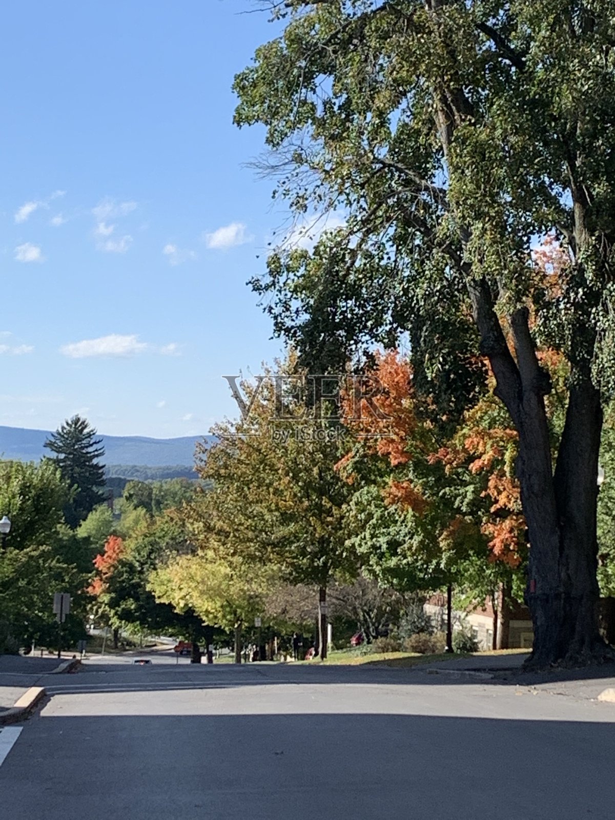 巴克内尔山的景色照片摄影图片