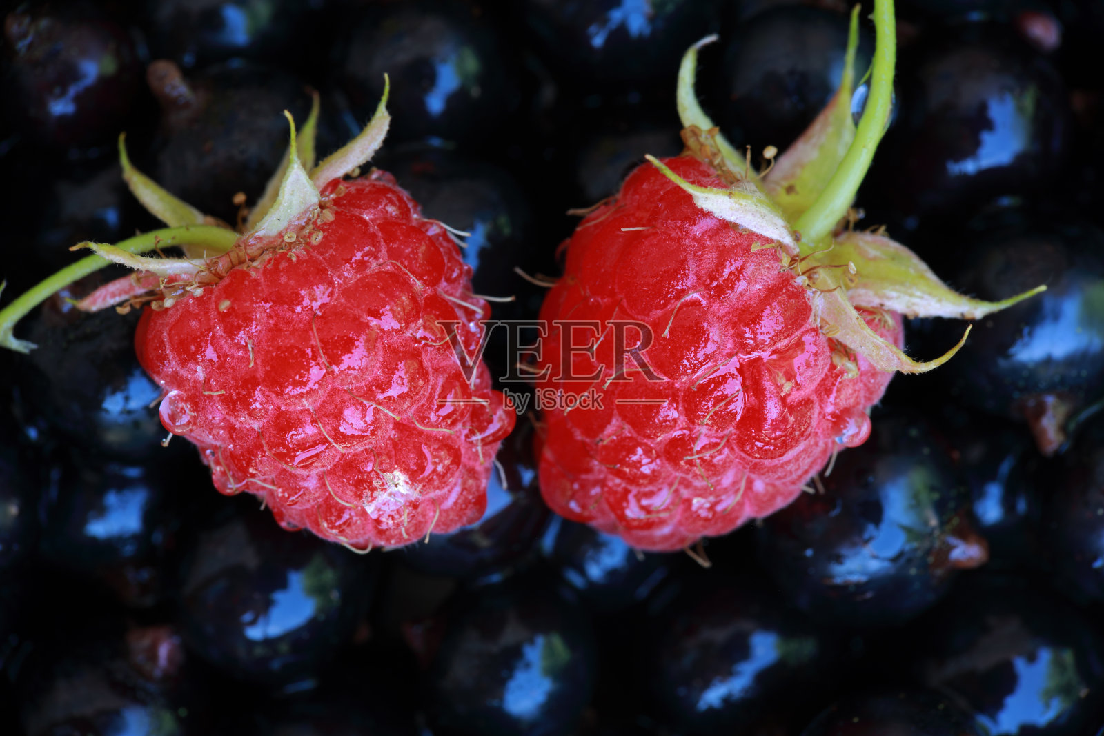 美味的新鲜浆果装在盘子里照片摄影图片