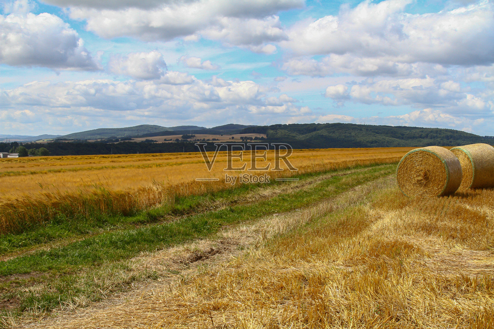 一片金黄的麦田和已经收获的部分，背景是小山，白云和蓝天-复制空间照片摄影图片
