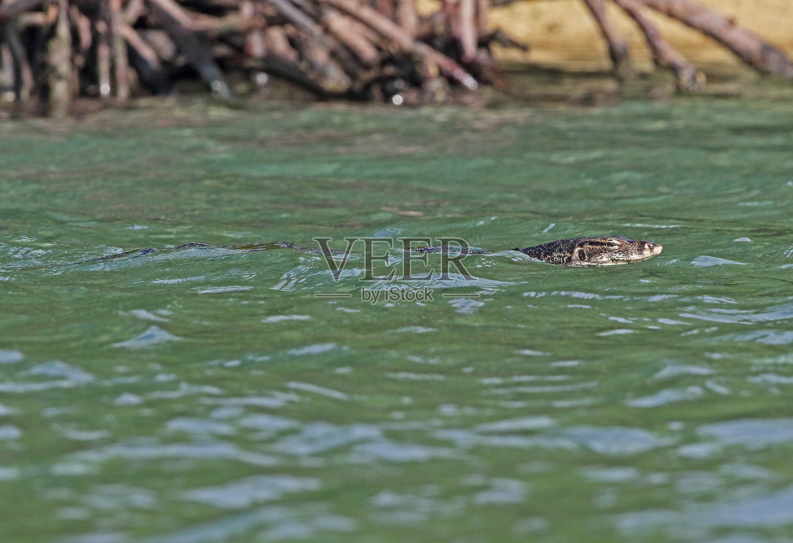 亚洲水监测照片摄影图片