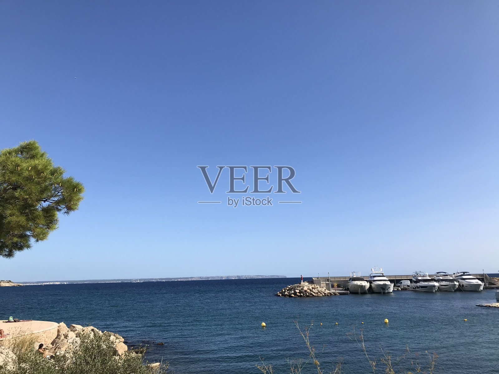 2020年夏天照片摄影图片