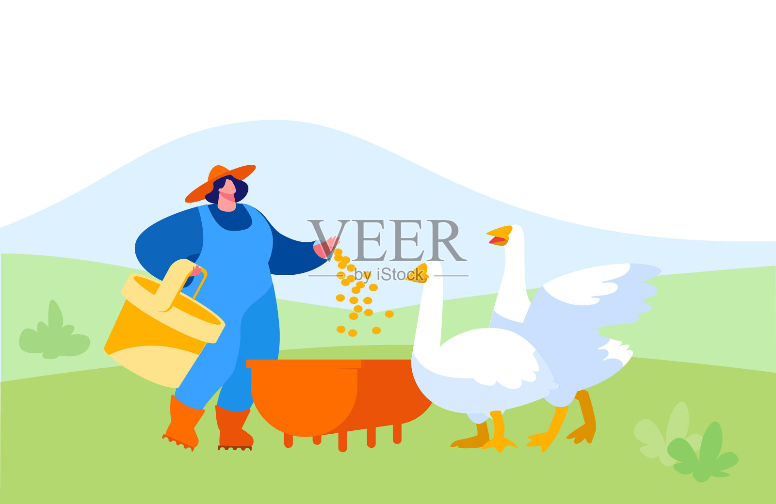 穿着工作袍喂鹅的年轻女子插画图片素材