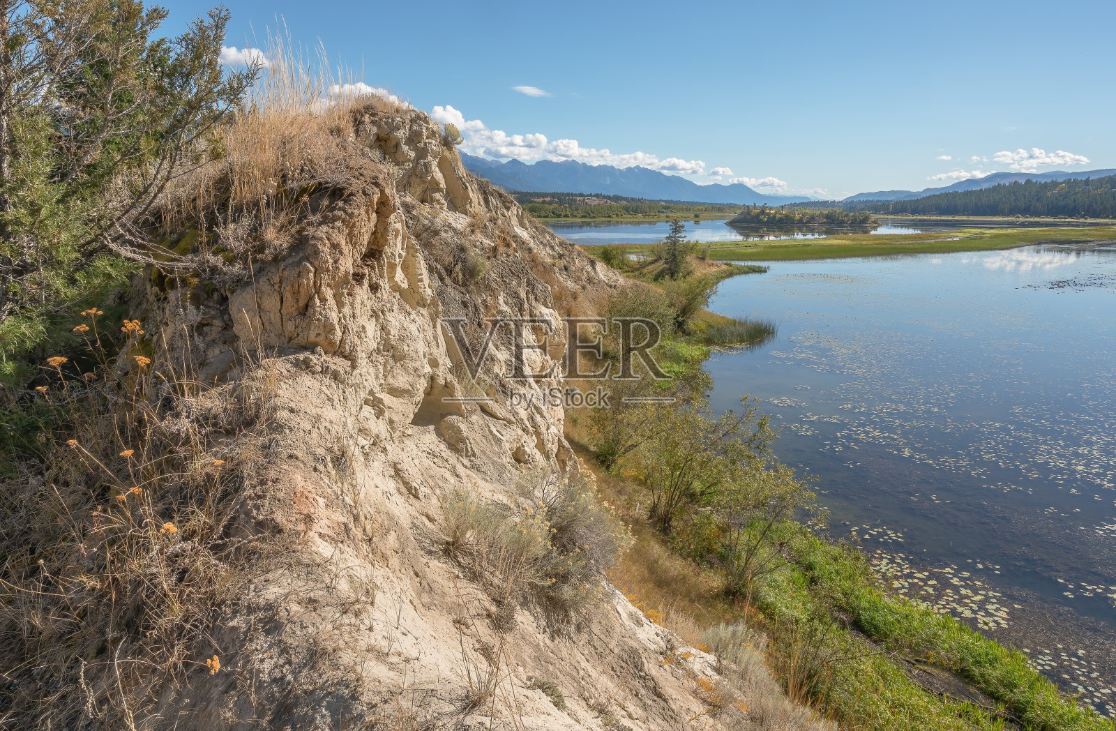 威尔默的哥伦比亚山谷湿地照片摄影图片