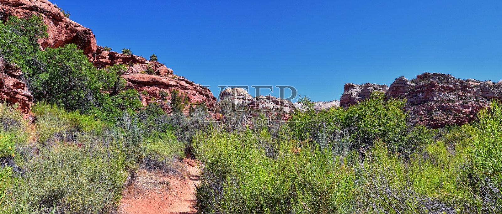 从位于犹他州南部12号高速公路博尔德和埃斯卡兰特之间的大阶梯-埃斯卡兰特国家纪念碑徒步旅行路线眺望下Calf Creek Falls。美国。照片摄影图片