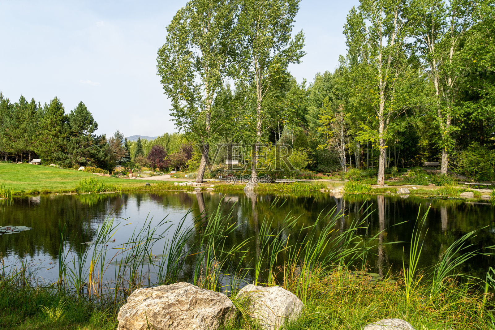 位于科罗拉多州Steamboat Springs的Yampa河植物园。照片摄影图片
