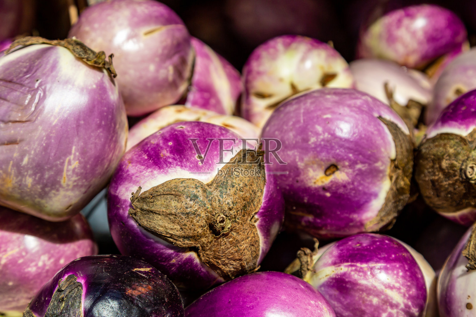 大量的圆茄子照片摄影图片