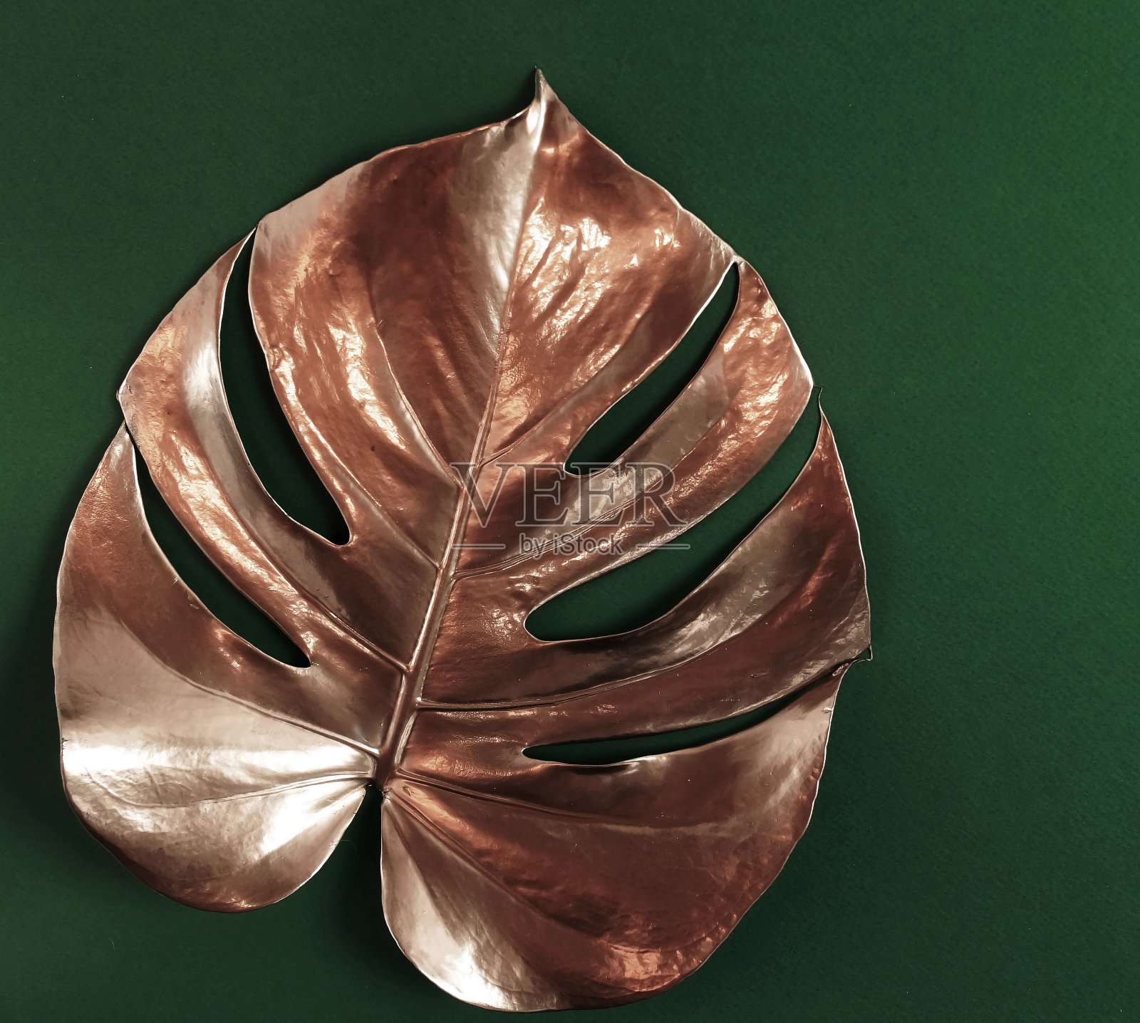 金色的怪物叶子框架上的绿色背景顶视图。副本的空间。抽象的海报。照片摄影图片