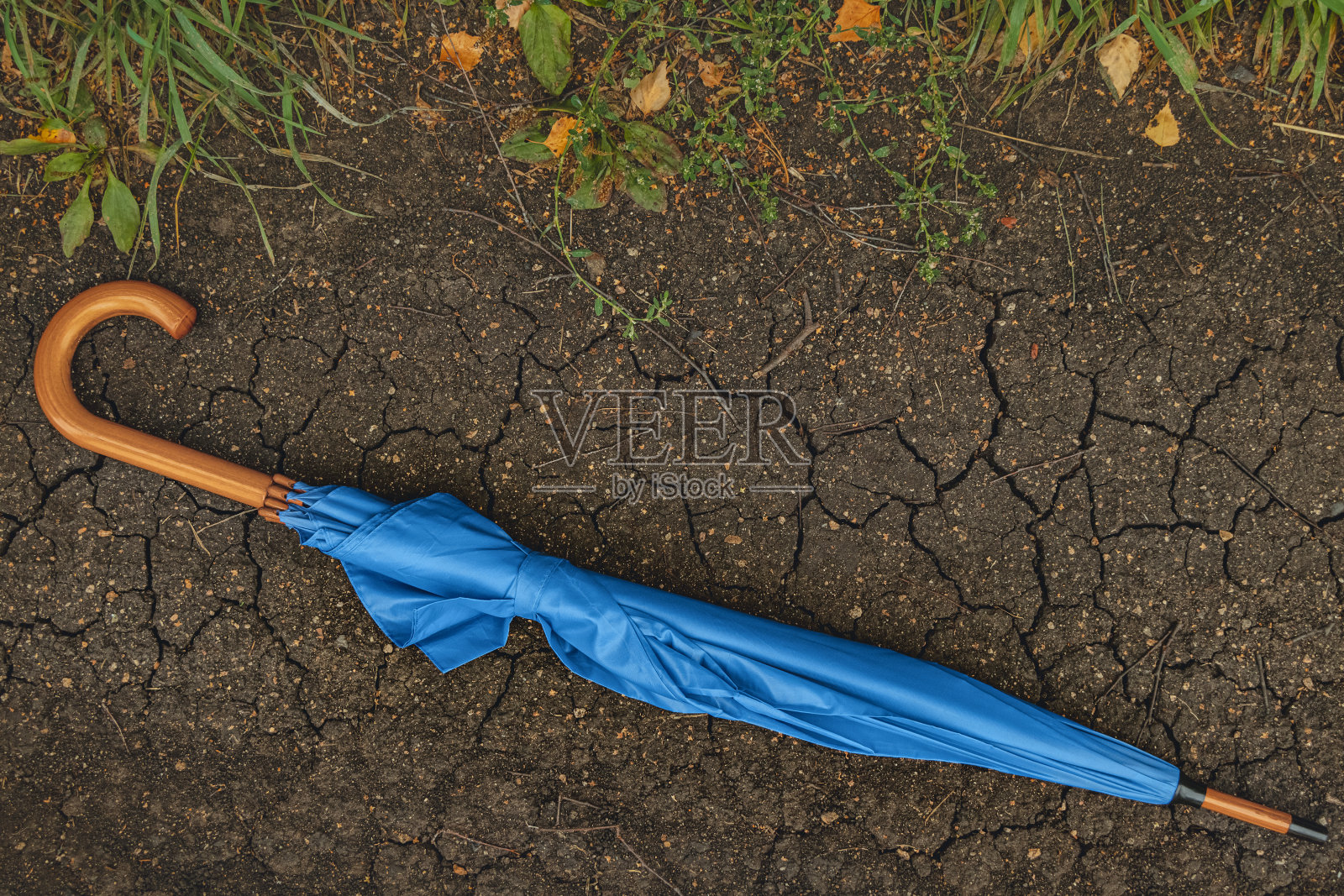 蓝色的伞在干燥的地面上，黄色的树叶噼啪作响。秋天秋天的场景。旱地和干旱的概念形象。从上面的观点照片摄影图片