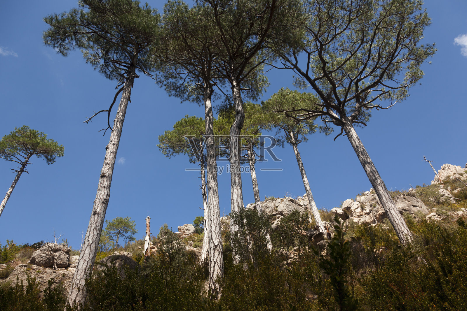 洛斯港自然公园照片摄影图片