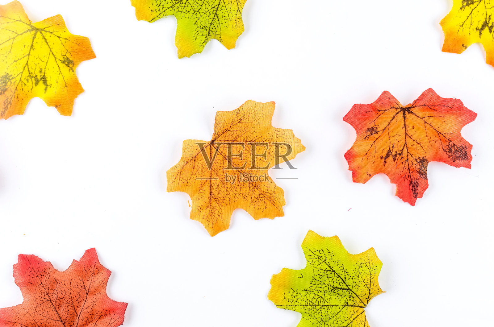 秋天的背景是黄叶照片摄影图片