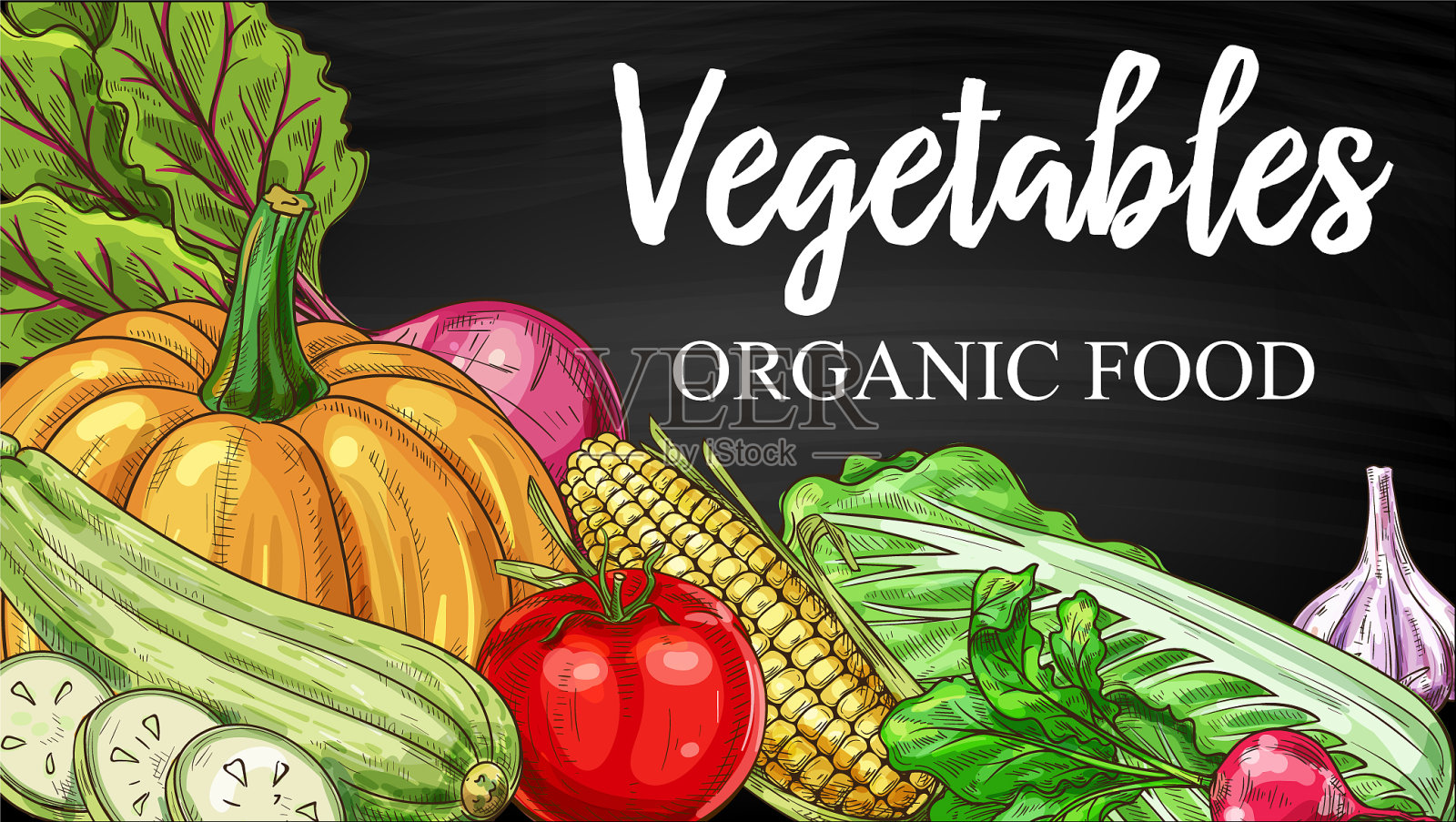 蔬菜，黑板，素描农场蔬菜插画图片素材