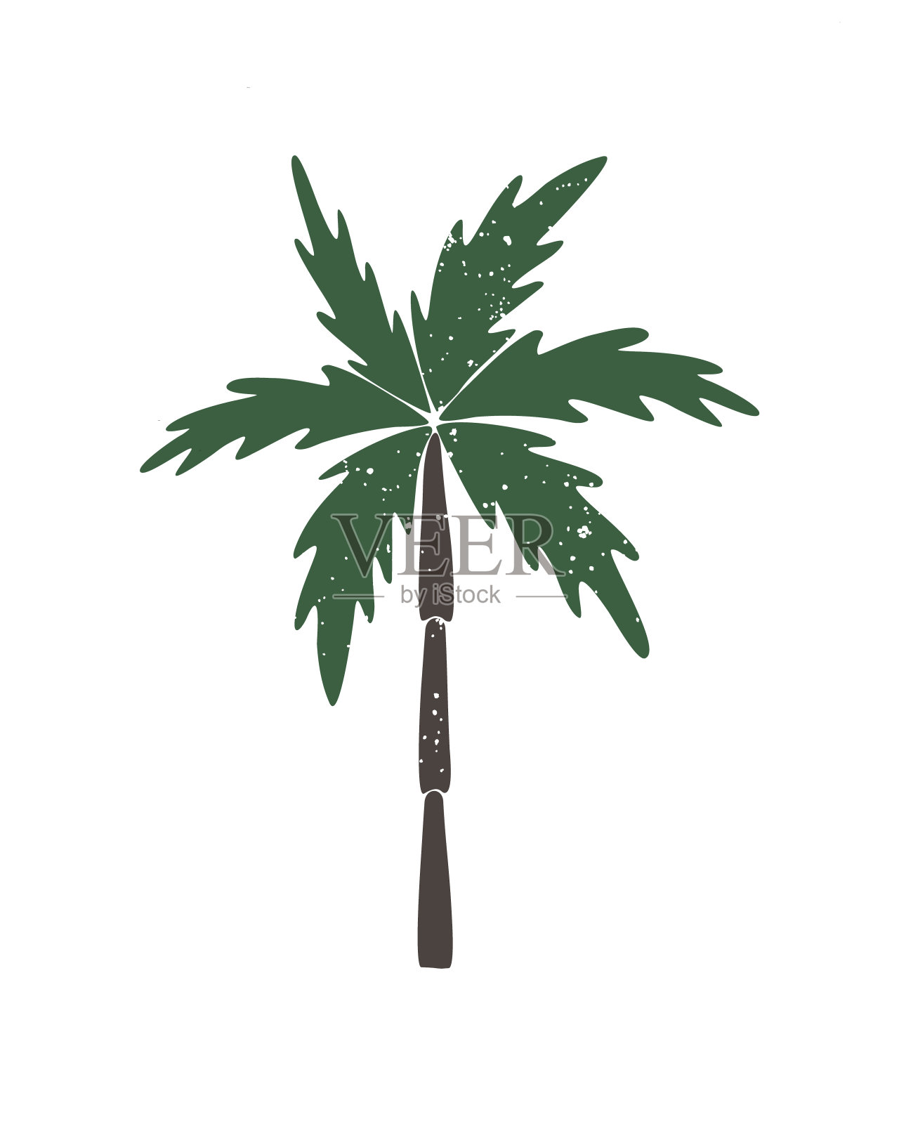 向量棕榈树在白色的背景。设计元素图片