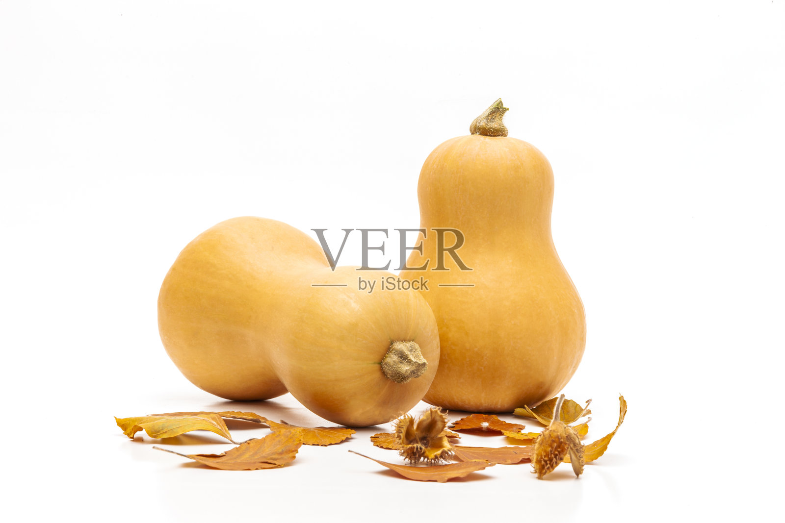 北海道南瓜和冬南瓜照片摄影图片