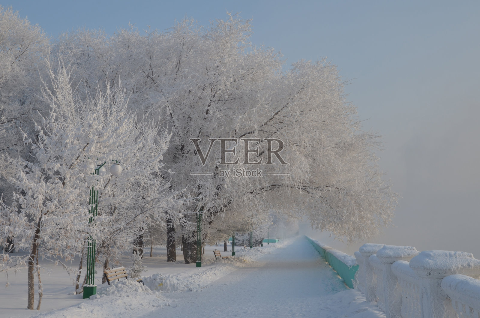 路堤处于雾霜之中。照片摄影图片