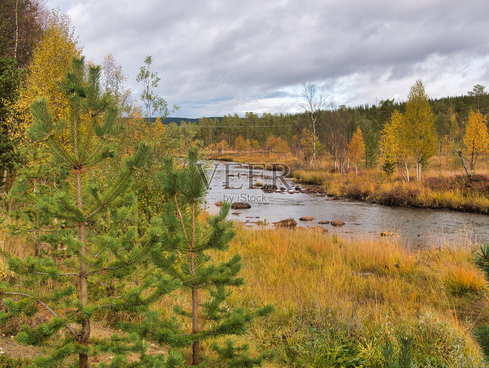 芬兰拉普兰一条小河的秋景照片摄影图片