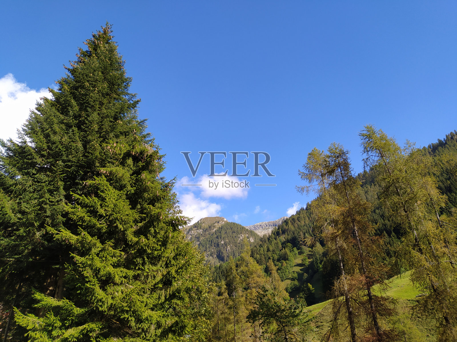 瓦尔赛西亚高原自然公园照片摄影图片