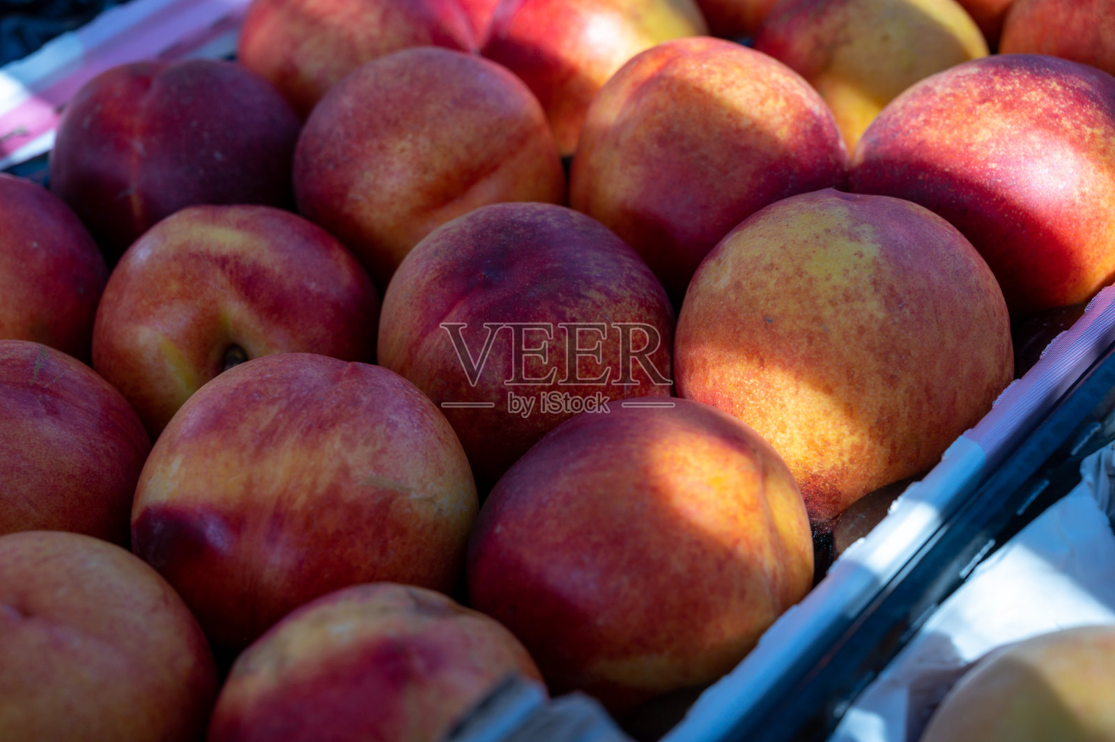 新收获大甜熟油桃照片摄影图片