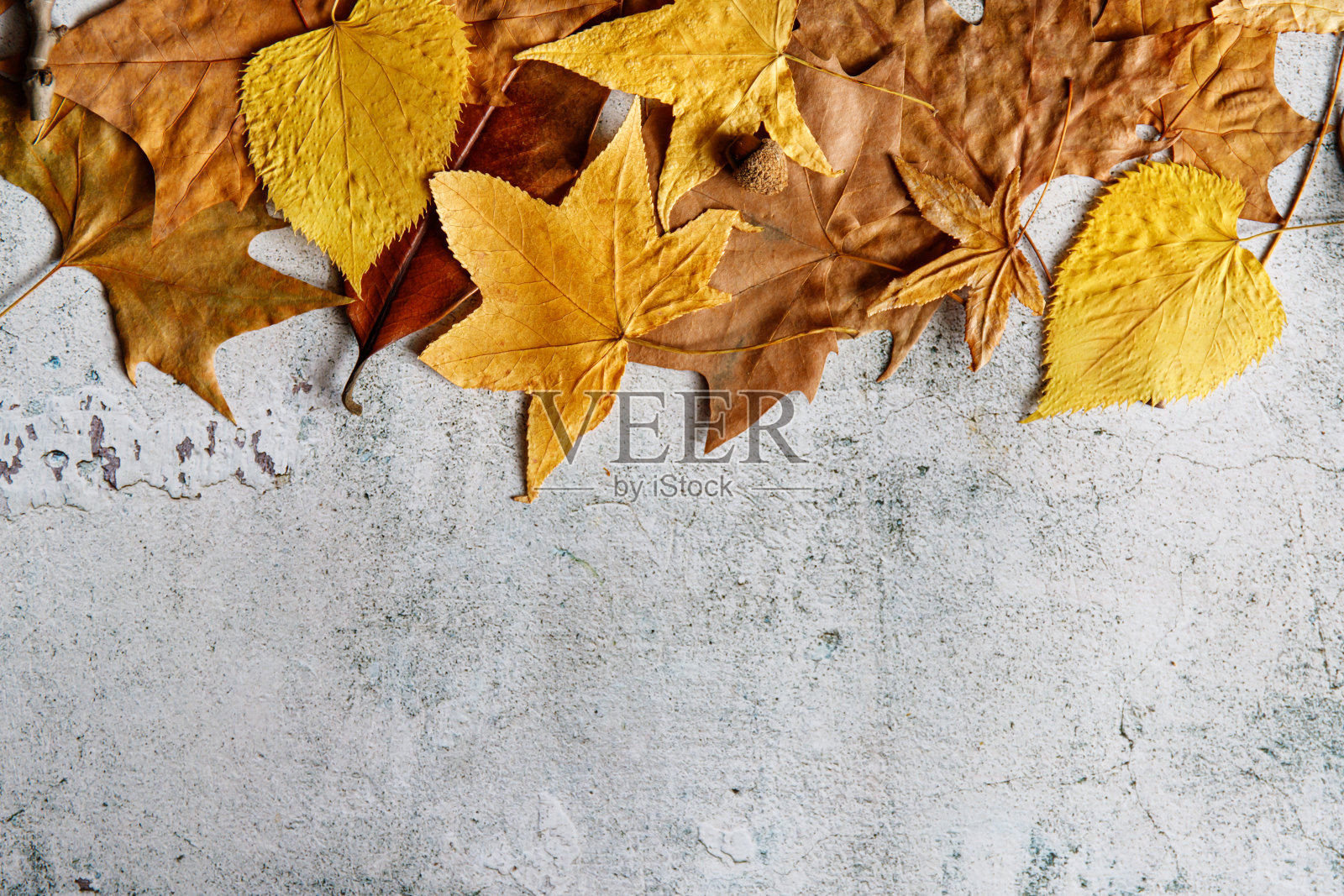 一套黄色和橙色的大理树叶在灰色的背景。秋天的主题。照片摄影图片