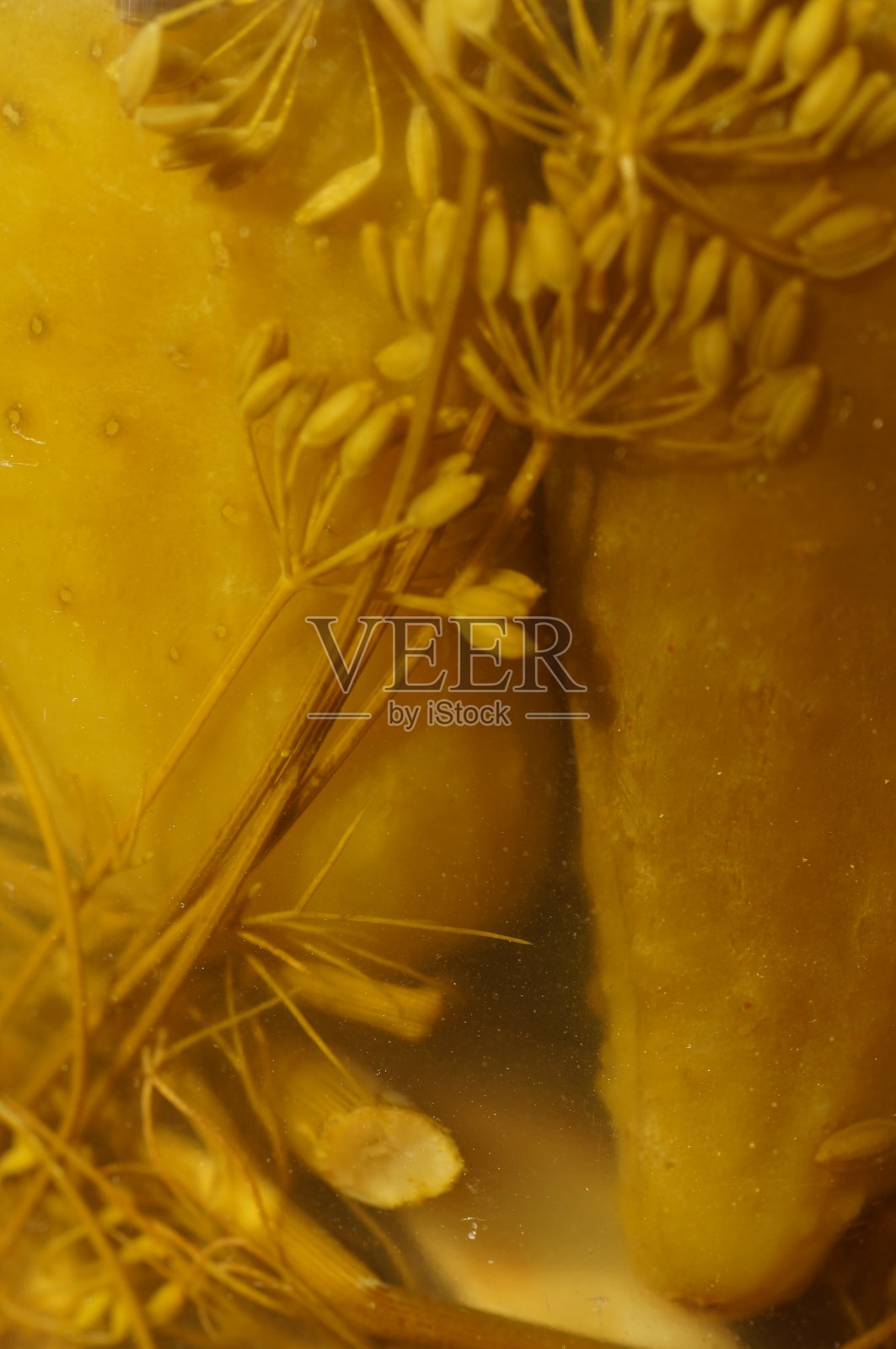 腌黄瓜在咸泡菜坛子里照片摄影图片