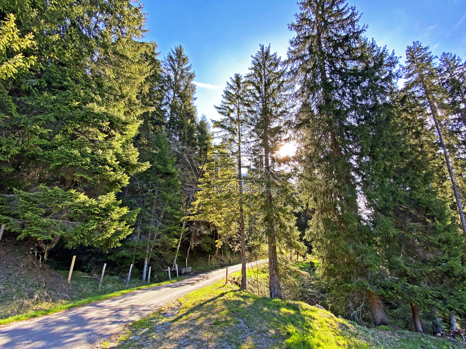 透过皮拉图斯山脉山坡上的高山森林的树木，天空和太阳的观点，阿尔卑斯山-奥布瓦尔登州，瑞士(坎顿奥布瓦尔德，瑞士)照片摄影图片